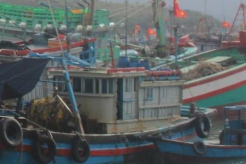 Vì sao 19 tàu cá ở Khánh Hòa bị đưa vào diện mất tích?