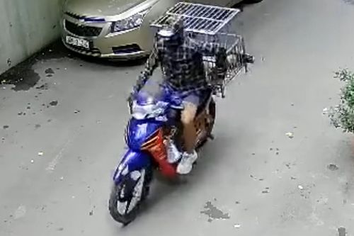 Thanh niên đi xe máy trộm cả đàn chó