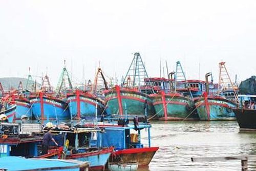 Truy tìm 19 tàu cá mất tích