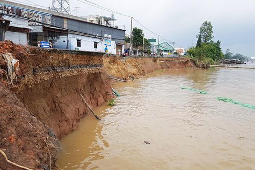 An Giang chủ động ứng phó sạt lở