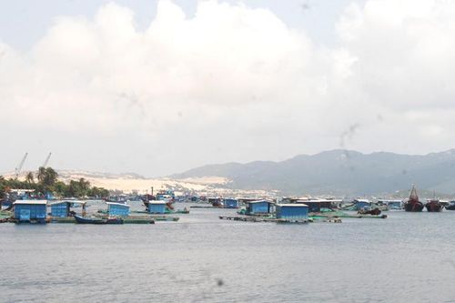 Hướng dẫn khu vực nuôi trồng thủy sản ven bờ