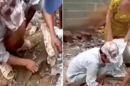 Bắt rắn bò vào nhà hàng xóm, người đàn ông bị rắn cắn chết