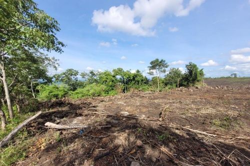 Hơn 4,1 ha rừng phòng hộ bị phá trắng, san ủi trái phép