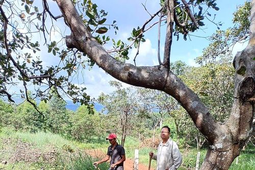Bỗng dưng bị tranh chấp đất