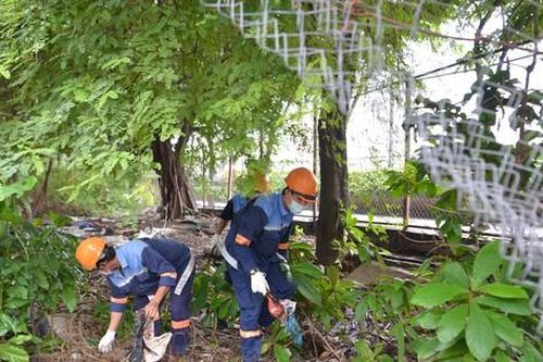 TPHCM lên kịch bản thu dung điều trị sốt xuất huyết