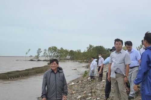 Cà Mau: Triều cường dâng cao 1,7 mét, nhiều đoạn đê biển sạt lở nghiêm trọng
