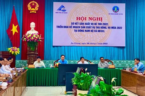 Tiếp tục bảo vệ, thu hoạch diện tích lúa hè thu