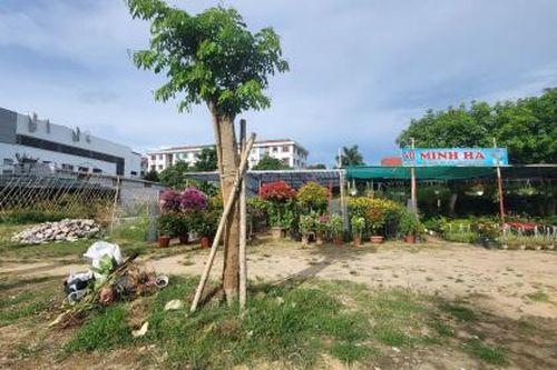 Nghệ An: Chấm dứt hoạt động, thu hồi đất đối với 225 dự án