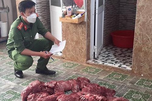 Đề nghị truy tố người biến thịt heo nái thành 'thịt nai gác bếp'