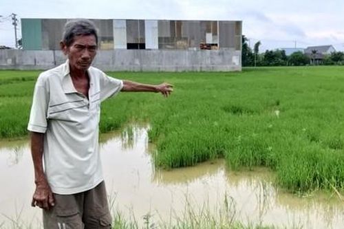 Long An: Bàn giao mốc giới giải phóng mặt bằng dự án đường Vành đai 3