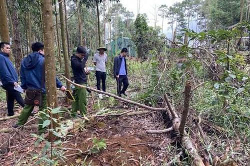 Phát hiện thêm nhiều điểm chôn lấp thông để phi tang tại xã Lộc Phú