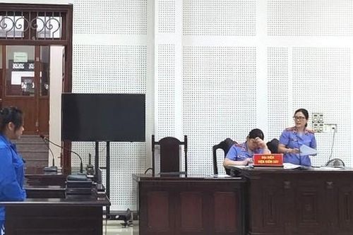 Thuê nhiều ô tô mang 'cắm', người phụ nữ 39 tuổi nhận kết đắng