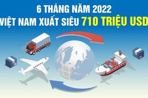 Việt Nam xuất siêu 710 triệu USD trong 6 tháng đầu năm 2022