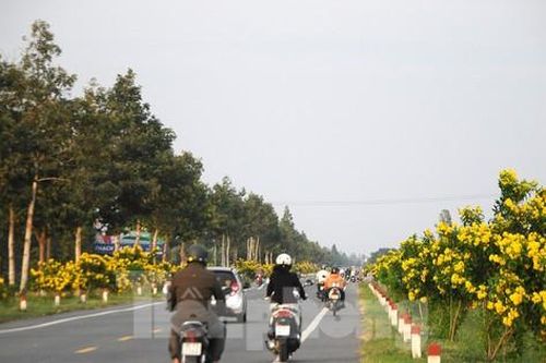 Bộ GTVT đề nghị hoàn thiện đề xuất mở rộng Quốc lộ 61C