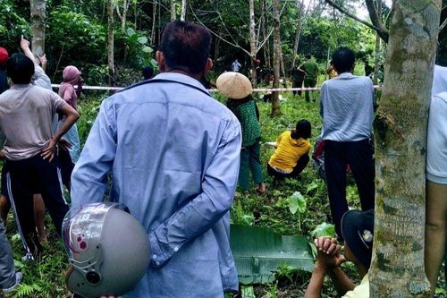 Thừa Thiên-Huế: Bị ngã khi lấy mật ong, một người tử vong thương tâm
