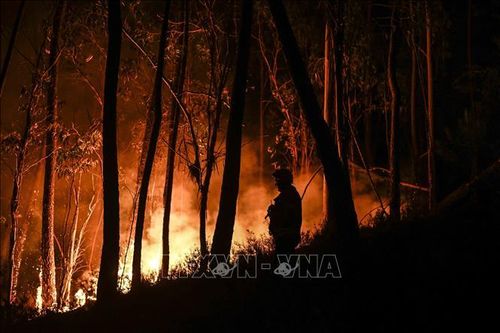 Nắng nóng hoành hành châu Âu, nhiệt độ ở Bồ Đào Nha có thể lên tới 45 độ C