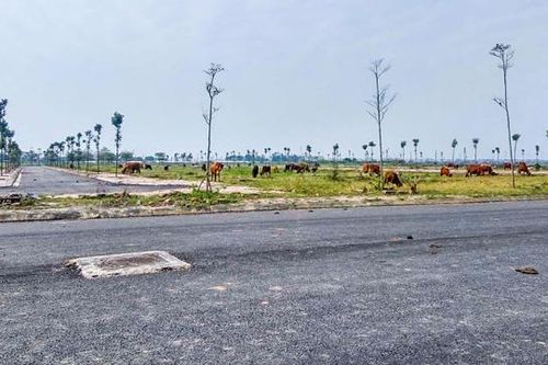 Hải Phòng gia hạn sử dụng đất cho hàng loạt dự án