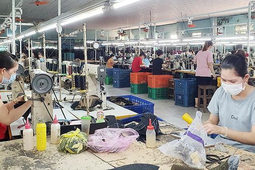 An Giang đẩy mạnh tuyên truyền, hỗ trợ người nộp thuế