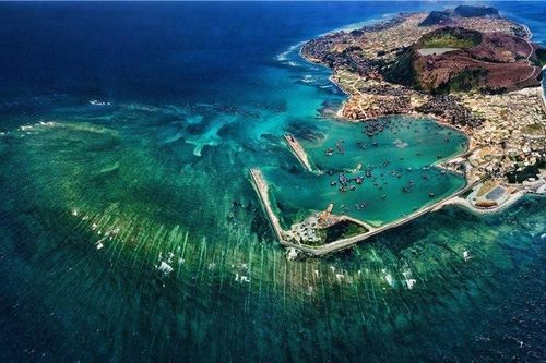 Đến Lý Sơn, đã mắt cảnh đẹp và đã… miệng hải sản ít nơi sánh kịp