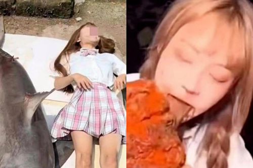 Vlogger Trung Quốc bị điều tra vì ăn thịt cá mập trắng