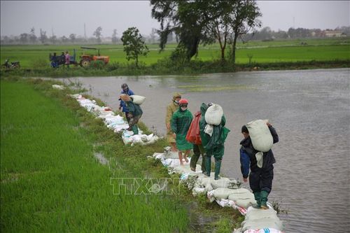 Ứng dụng hiệu quả Bộ chỉ số phòng, chống thiên tai cấp tỉnh
