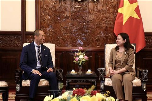 Phó Chủ tịch nước tiếp Giám đốc WHO khu vực Tây Thái Bình Dương