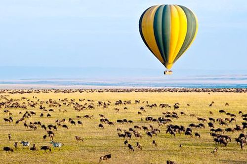 Safari ở Kenya