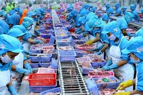Ngành thủy sản được khơi thông