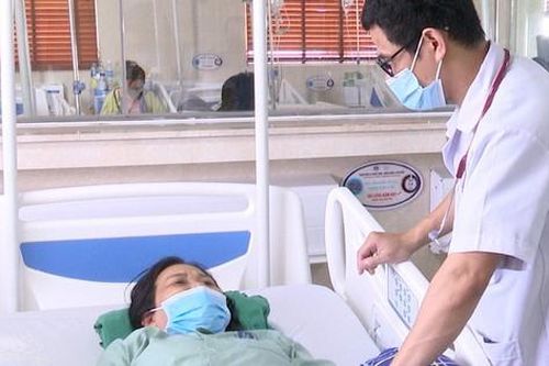 Bất ngờ đột quỵ do... ong đốt