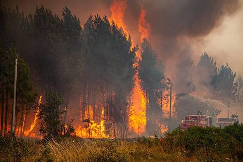 Toàn cảnh đám cháy rừng biến châu Âu thành 'hỏa ngục'