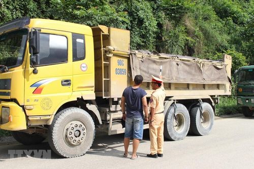 Sử dụng giấy phép lưu hành quá khổ giả không qua được mắt CSGT
