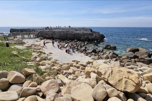 Khu dự trữ sinh quyển Núi Chúa, Ninh Thuận - điểm đến hấp dẫn