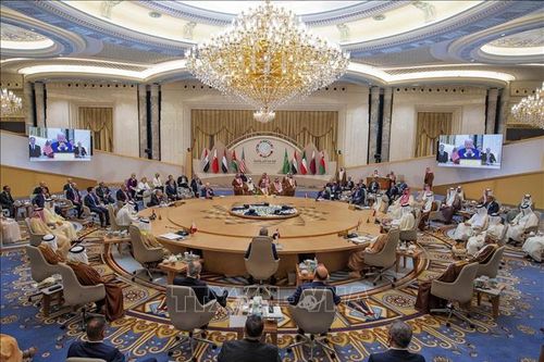 Các nước Arab khẳng định tầm quan trọng việc giải quyết xung đột Israel - Palestine