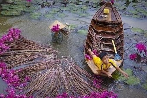Nhất định phải về miền Tây mùa nước nổi để 'thưởng' món thủy mộc