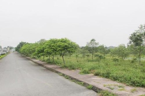 Loạt dự án chậm tiến độ, nợ thuế của Nghệ An bị 'khai tử'