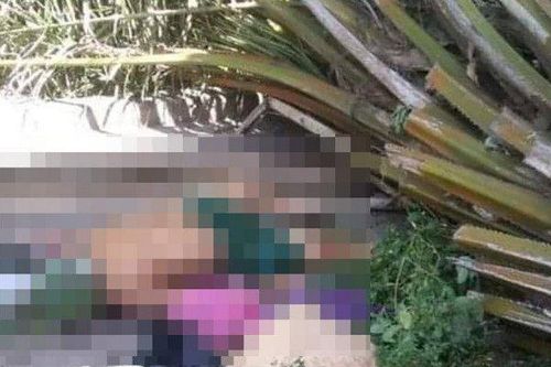 Cây trong công viên đổ giữa trưa đè người đàn ông tử vong