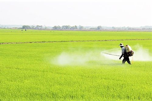 Xử lý nghiêm tình trạng sản xuất - kinh doanh thuốc bảo vệ thực vật, phân bón giả, kém chất lượng