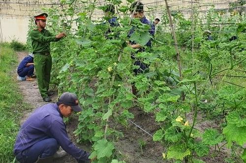 Những người thầy dẫn lối hoàn lương