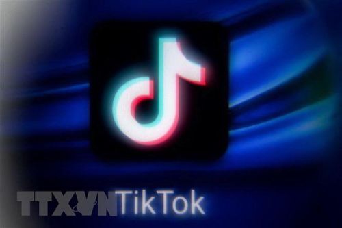 TikTok thu thập dữ liệu cá nhân của khoảng 2 triệu người Séc