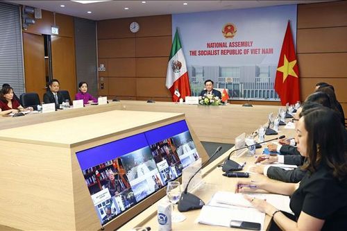 Chủ tịch Quốc hội hội đàm trực tuyến với Chủ tịch Thượng viện Liên bang Mexico