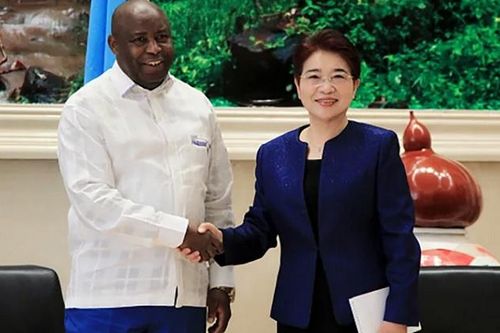 Giới ngoại giao Trung Quốc đổ xô đến châu Phi, ngăn phương Tây mở rộng hiện diện