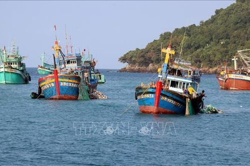 Kiên Giang tạm ngừng khai thác nhuyễn thể 2 mảnh vỏ vùng biển ven bờ