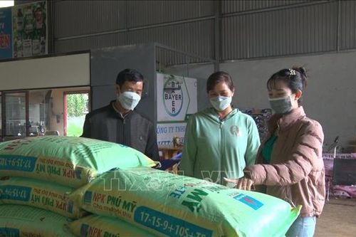 Nông dân tìm cách thích ứng khi giá phân bón, vật tư nông nghiệp tăng cao
