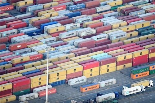 Lượng nhập khẩu container rỗng của Saudi Arabia tăng hơn 3 lần