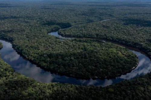 Brazil: Phá rừng tăng 20% vào năm 2021