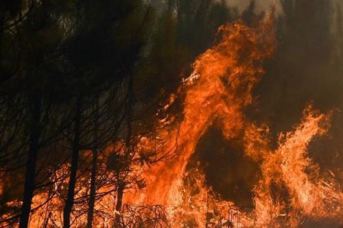 Chùm ảnh: Nắng nóng như 'địa ngục' thiêu đốt châu Âu