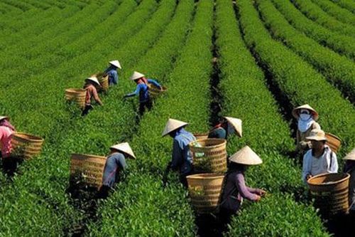 Hỗ trợ khởi nghiệp và đầu tư vùng miền núi