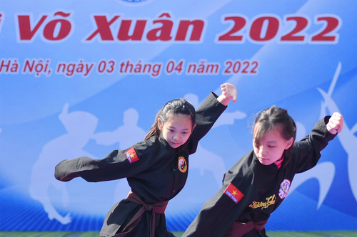 Đừng làm tổn hại hình ảnh võ cổ truyền Việt Nam
