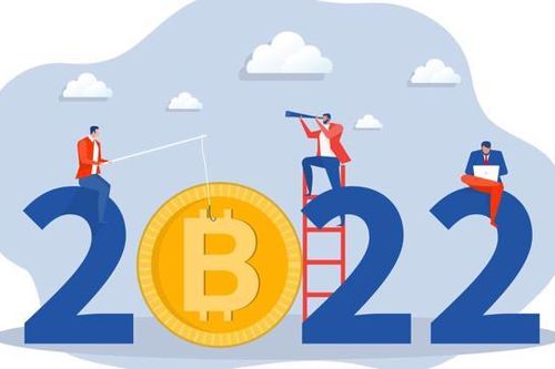 Gần 29 tỷ USD rót vào thị trường Crypto trong nửa đầu năm 2022