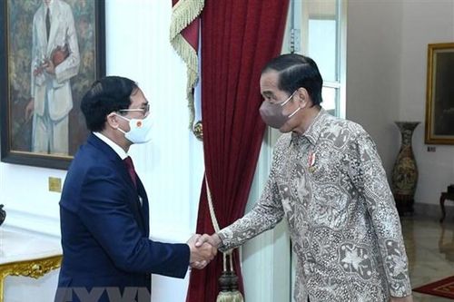 Việt Nam - Indonesia đẩy mạnh quan hệ Đối tác chiến lược trên tầm cao mới